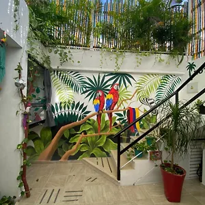 https://private-cozy-room-tv-wifi-ac-puerto-morelos.quintano-roohotels.com